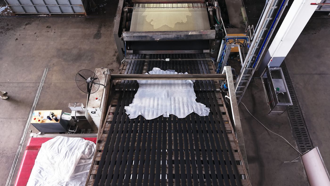 Simona Tanning, traceability film