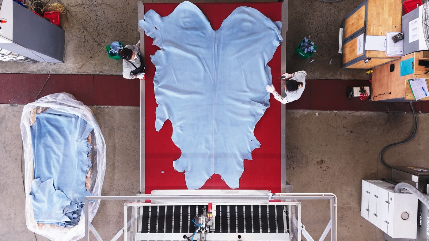 Simona Tanning, traceability film