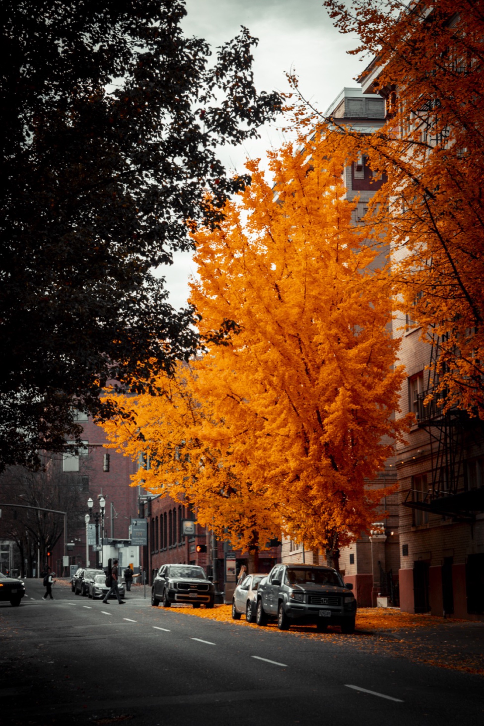 Portland City — Hero