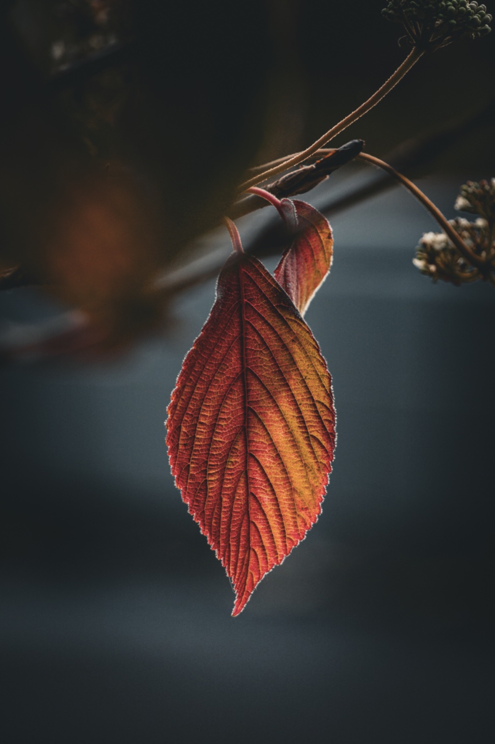 Nike World HQ — Hero