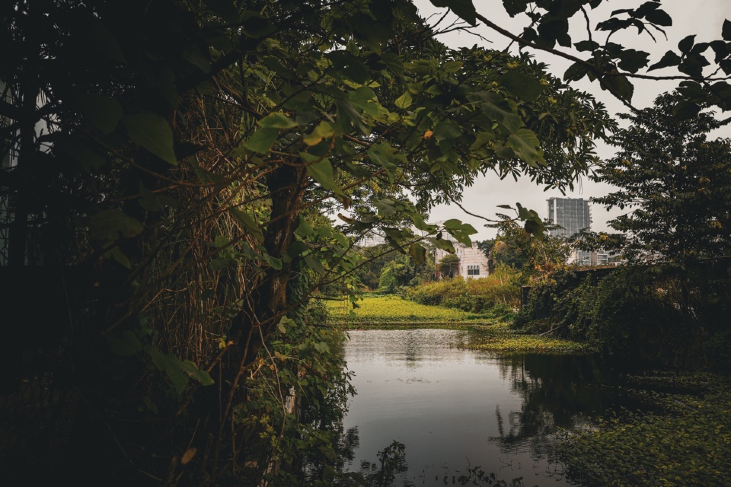 Hanoi — Le Duan 028