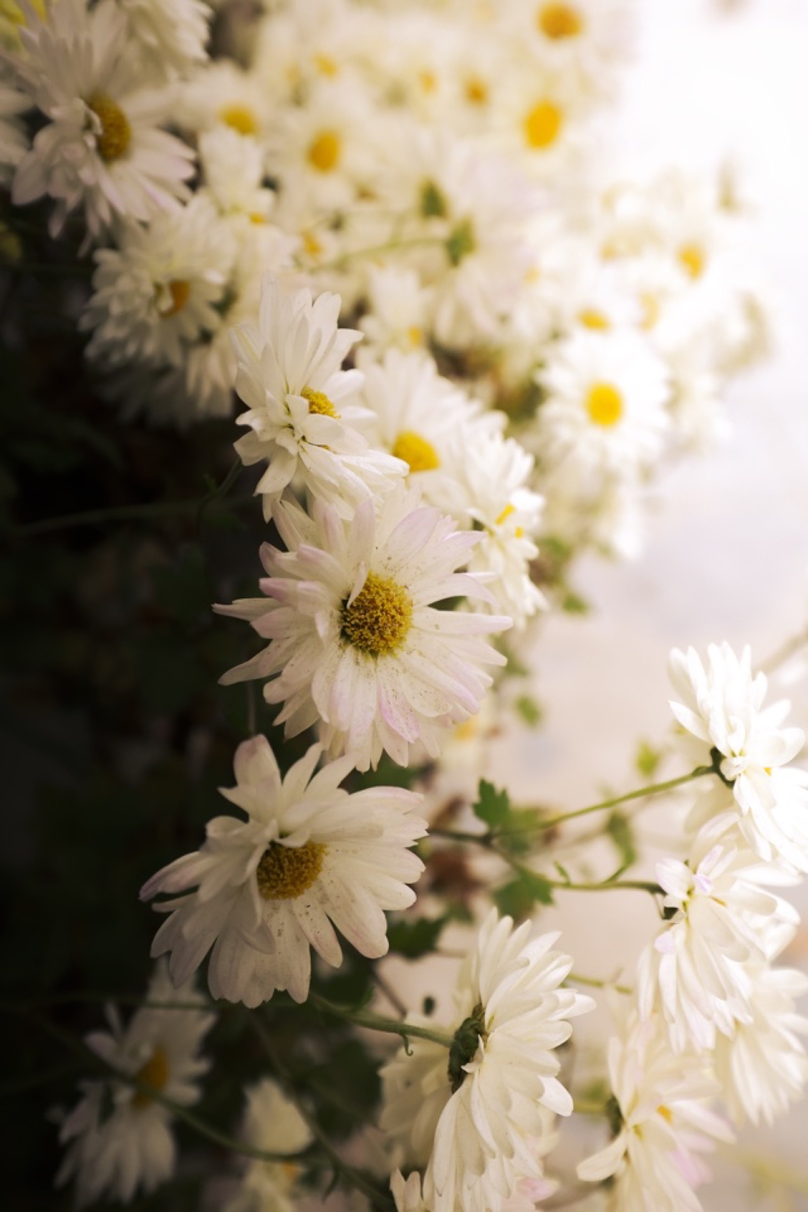 Hanoi — Le Duan 066