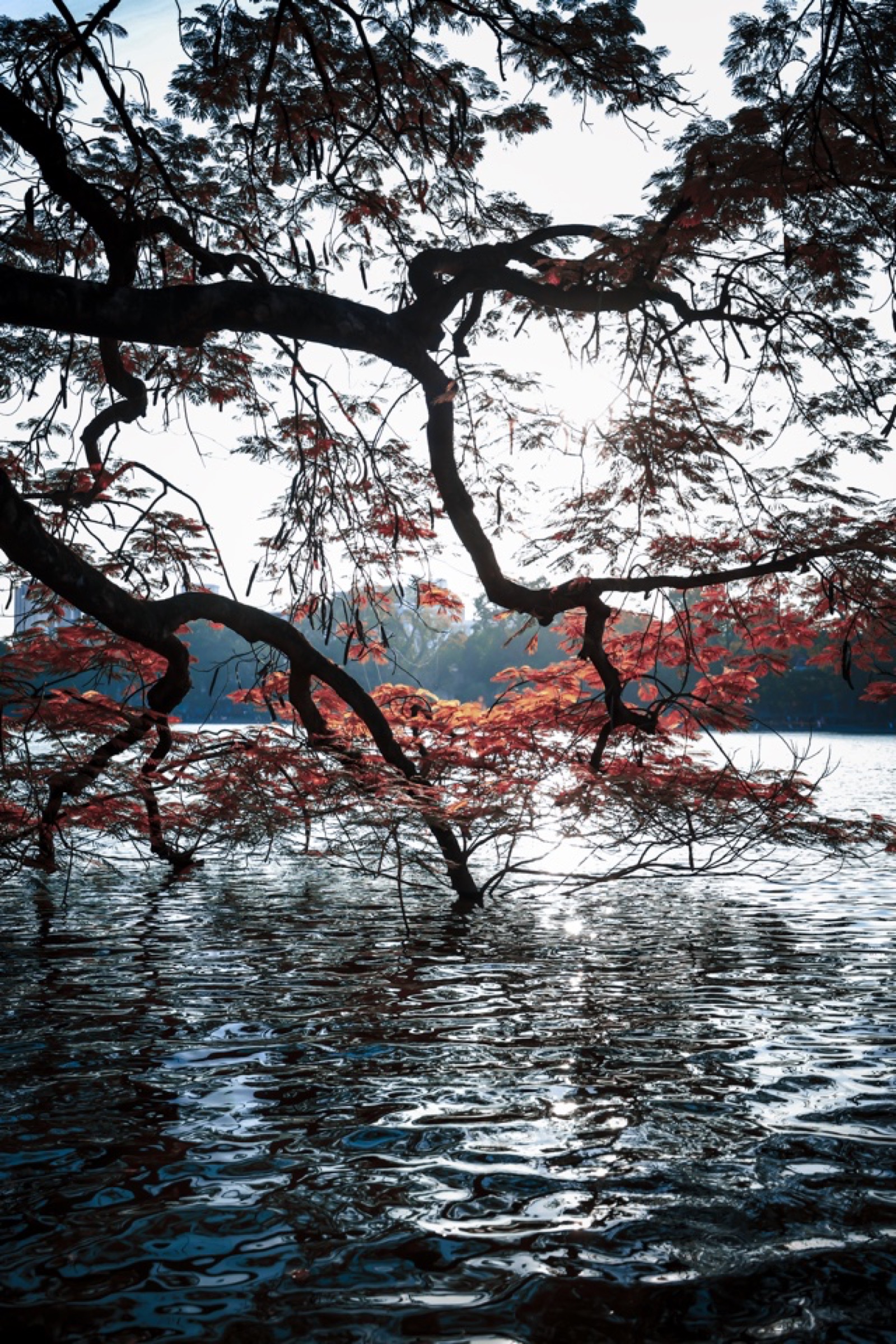 Hanoi — Le Duan 269